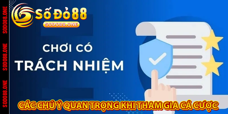Các chú ý quan trọng khi tham gia cá cược 