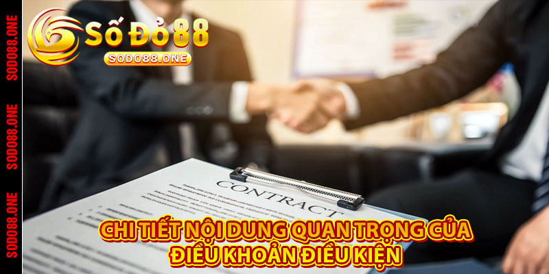 Chi tiết nội dung quan trọng của điều khoản điều kiện 
