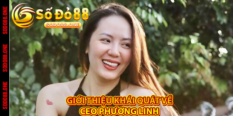 Giới thiệu khái quát về CEO Phương Linh 