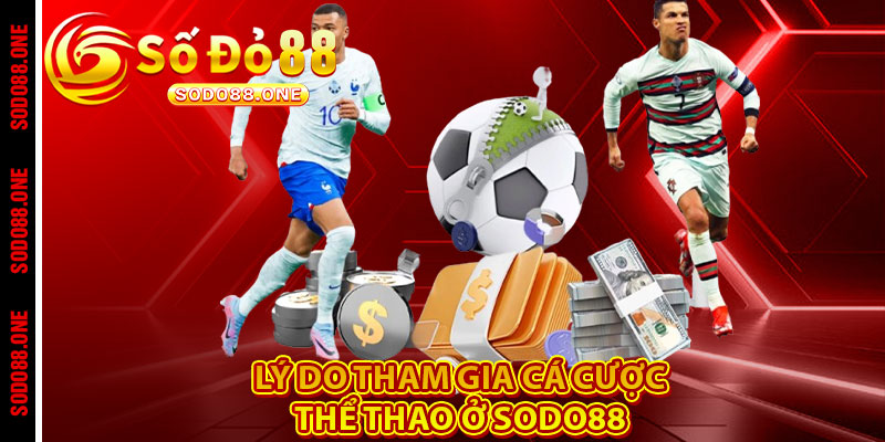 Lý do tham gia cá cược thể thao ở Sodo88 