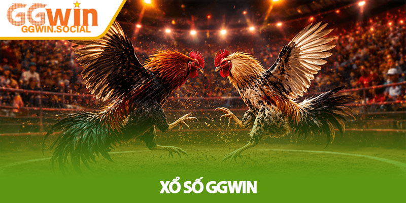 Đá Gà GGWIN – Trải Nghiệm Chiến Kê Trực Tuyến